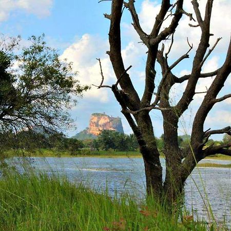 Rho Sigiriya Lake Edge Retreat Kibissa Eksteriør billede