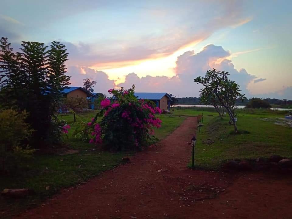 Rho Sigiriya Lake Edge Retreat Kibissa Eksteriør billede