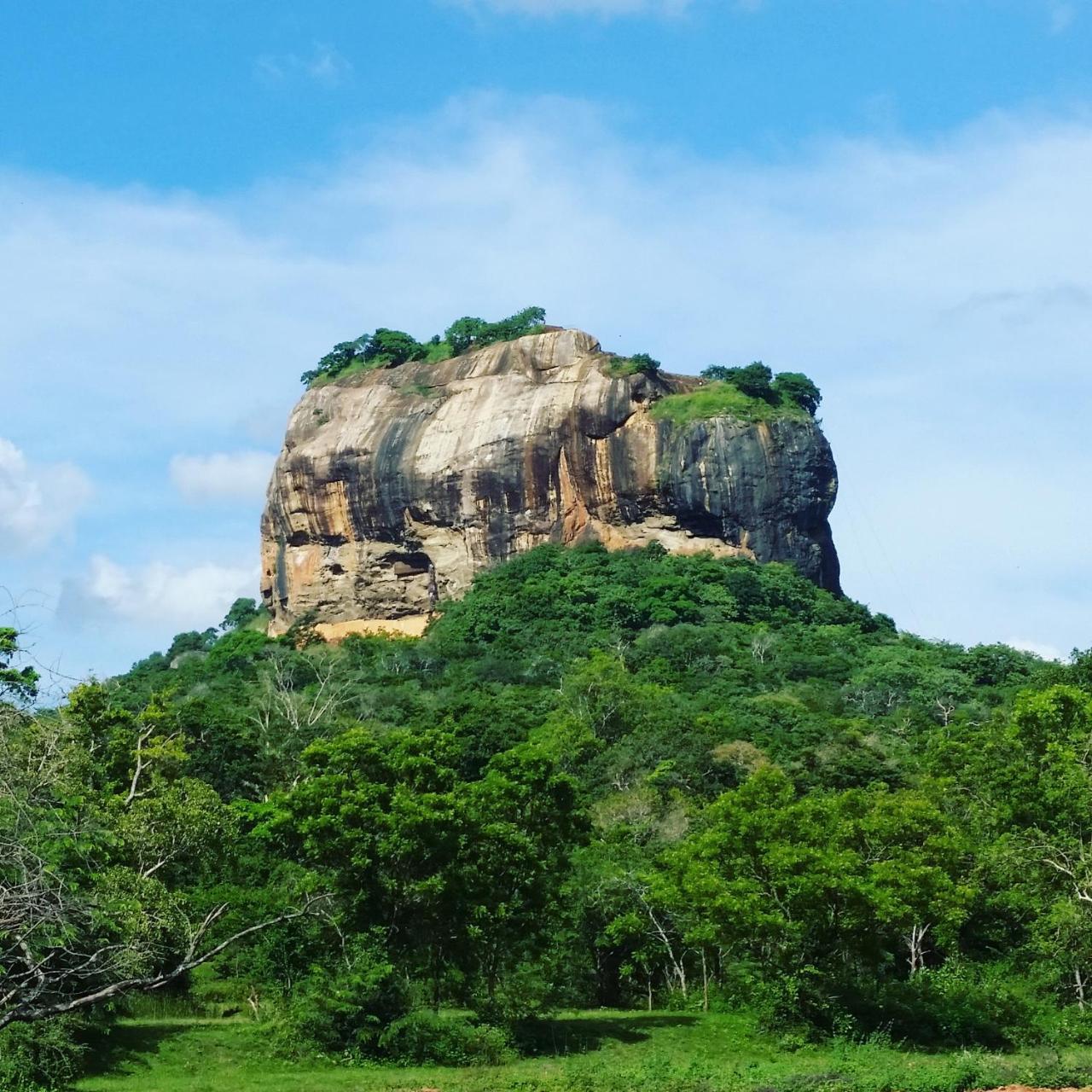 Rho Sigiriya Lake Edge Retreat Kibissa Eksteriør billede