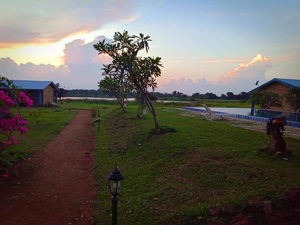 Rho Sigiriya Lake Edge Retreat Kibissa Eksteriør billede