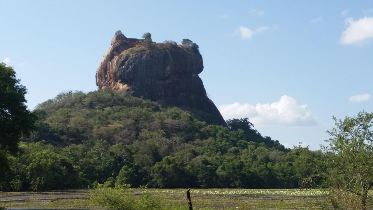 Rho Sigiriya Lake Edge Retreat Kibissa Eksteriør billede