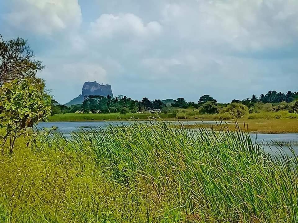 Rho Sigiriya Lake Edge Retreat Kibissa Eksteriør billede