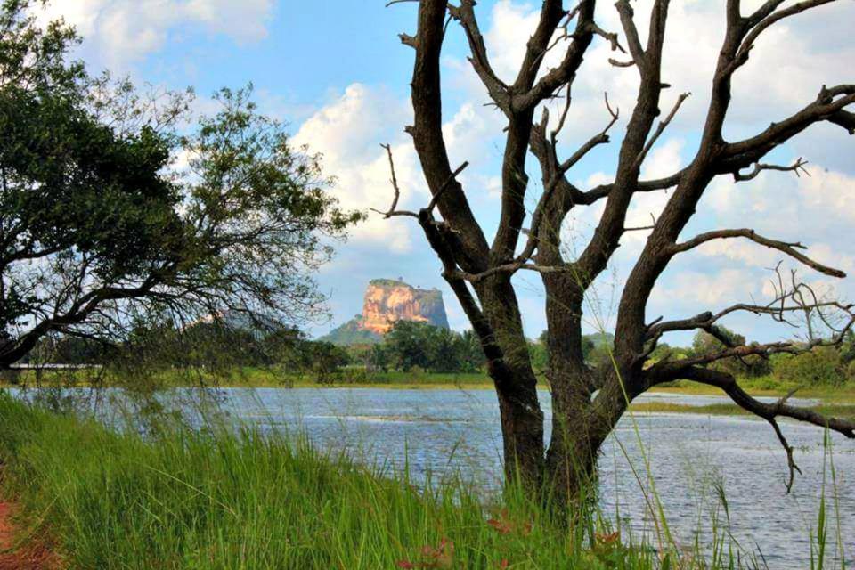 Rho Sigiriya Lake Edge Retreat Kibissa Eksteriør billede