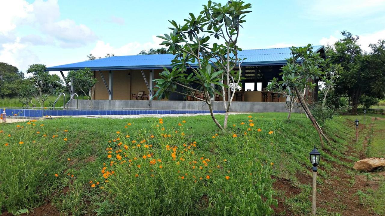 Rho Sigiriya Lake Edge Retreat Kibissa Eksteriør billede