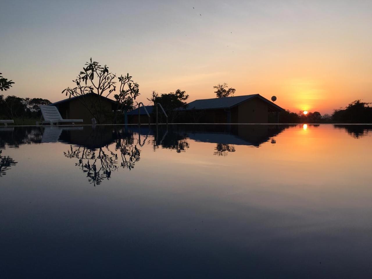 Rho Sigiriya Lake Edge Retreat Kibissa Eksteriør billede